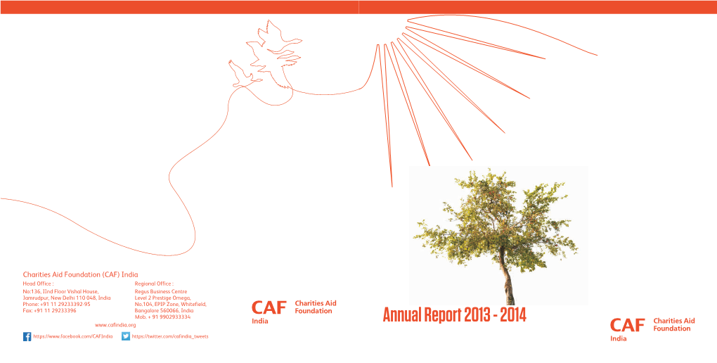 Annual Report Recovered