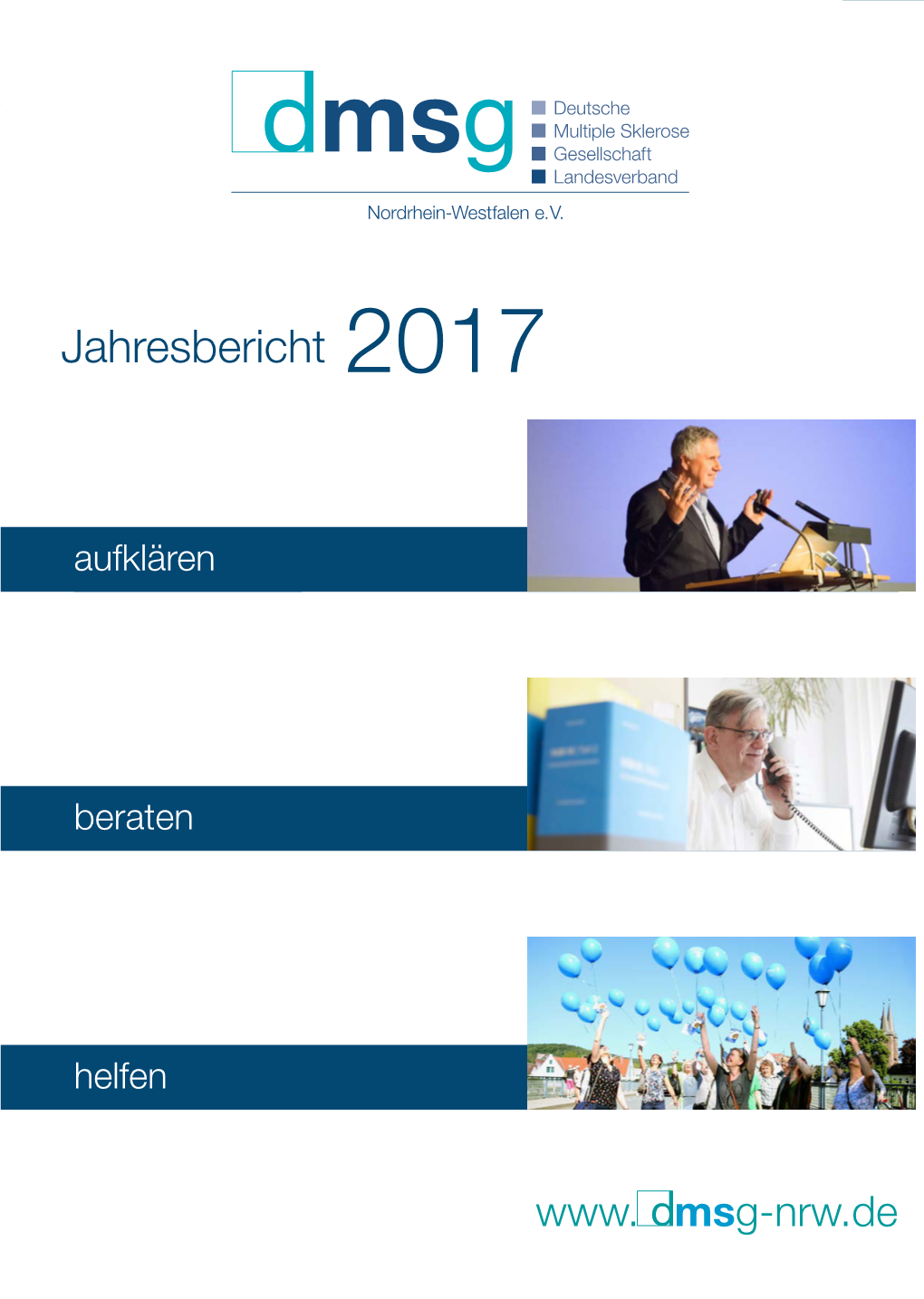 Jahresbericht 2017