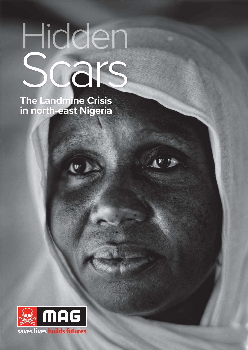 The Landmine Crisis in North-East Nigeria 2