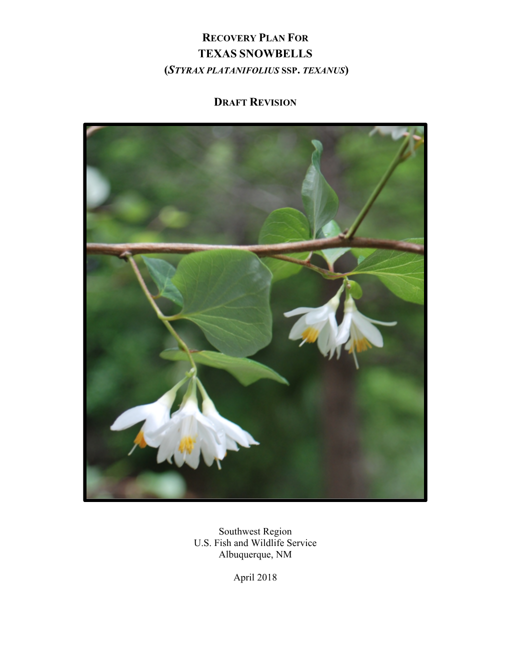 Recovery Plan for Texas Snowbells (Styrax Platanifolius Ssp. Texanus)