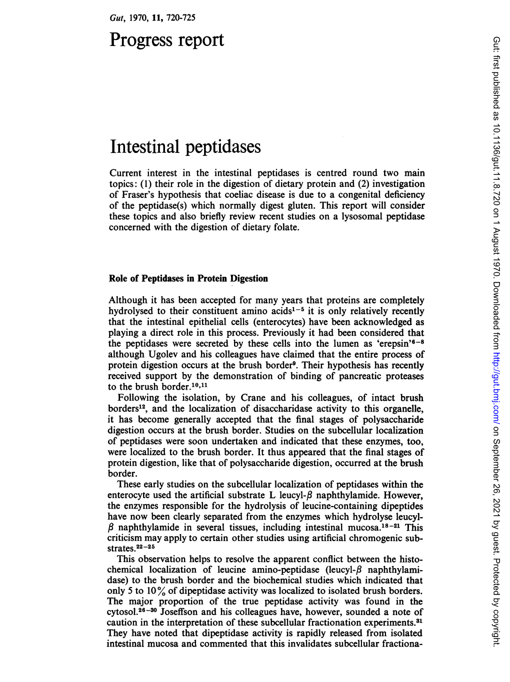 Progress Report Intestinal Peptidases