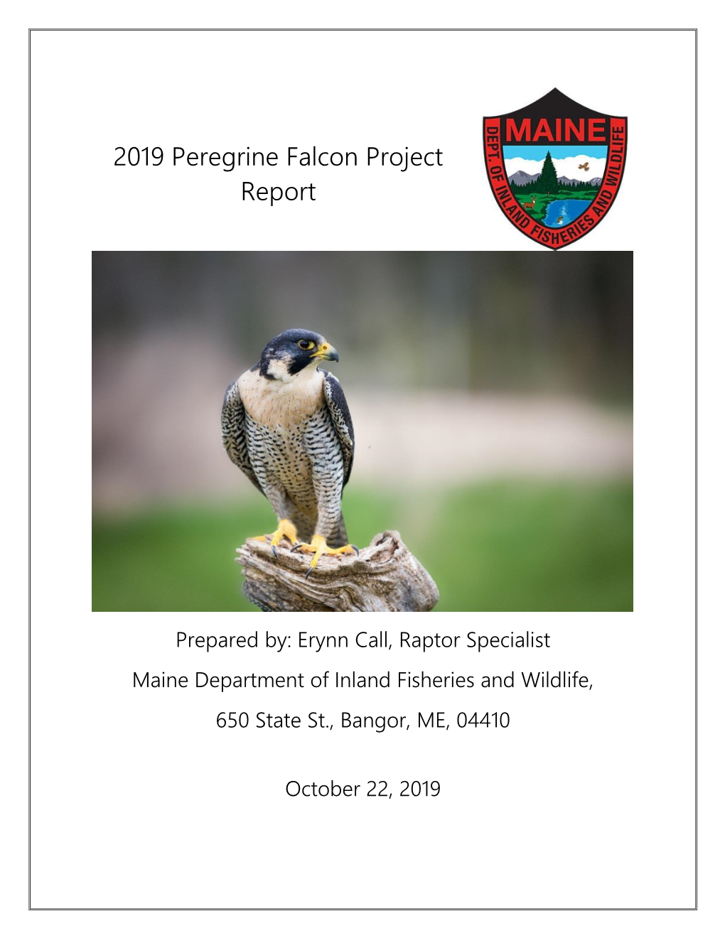 2019 Peregrine Falcon Project Report