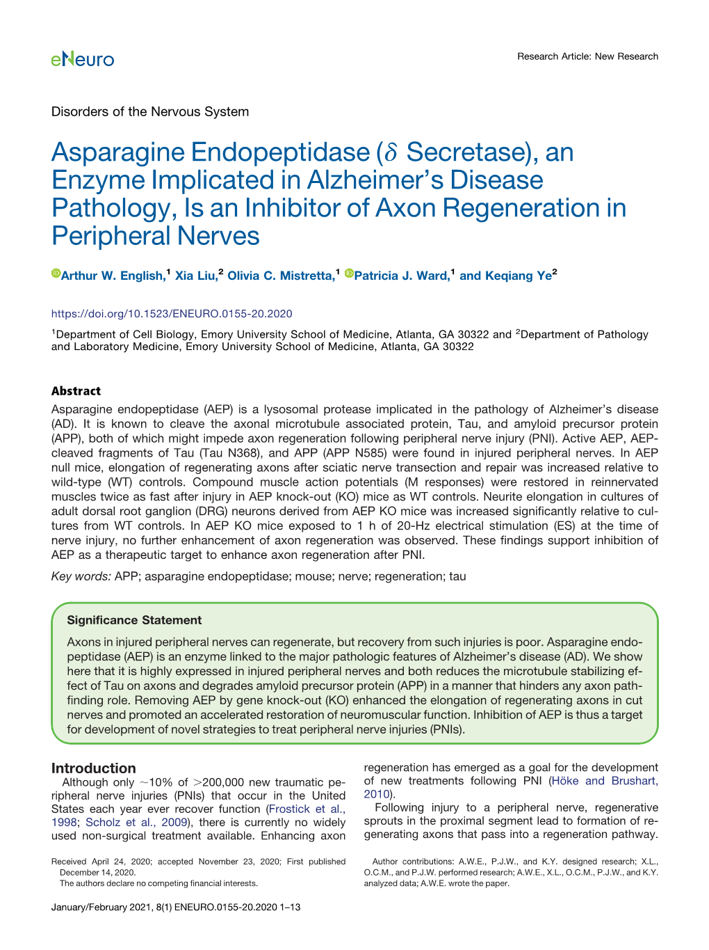 Asparagine Endopeptidase (Δ Secretase), an Enzyme Implicated