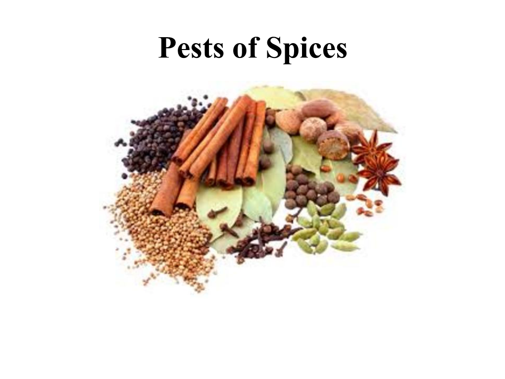 Pests of Spices and Pests of Plantation Crops