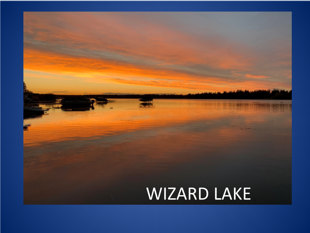 Watershed Stewardship at Wizard Lake