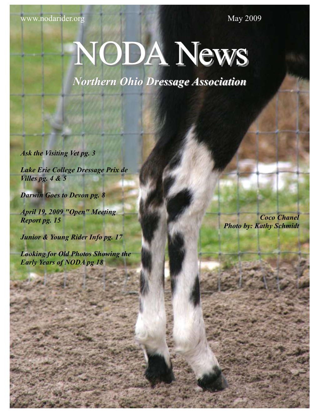 NODA Newsnews Northernnorthern Ohioohio Dressagedressage Associationassociation