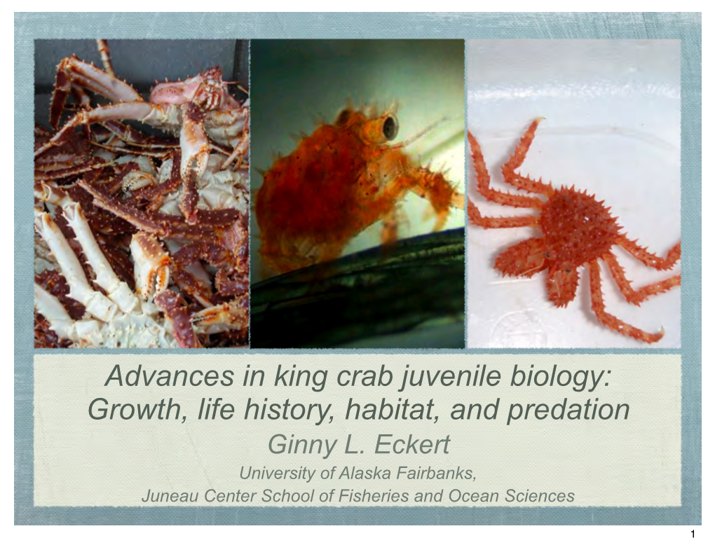 Advances in King Crab Juvenile Biology: Growth, Life History, Habitat, and Predation Ginny L