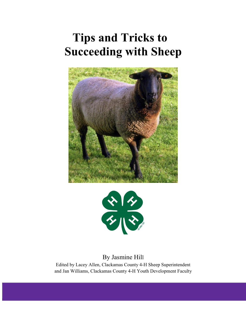 Tips and Tricks to Succeeding with Sheep