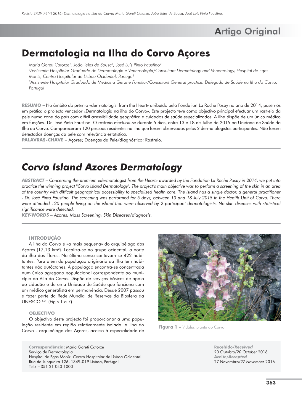 Dermatologia Na Ilha Do Corvo Açores Corvo Island Azores Dermatology