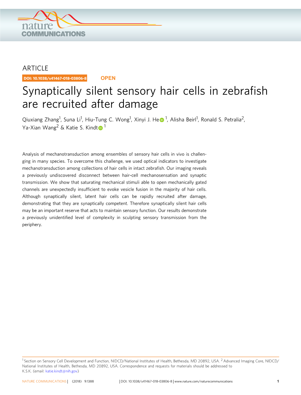 Synaptically Silent Sensory Hair Cells in Zebrafish Are Recruited After Damage