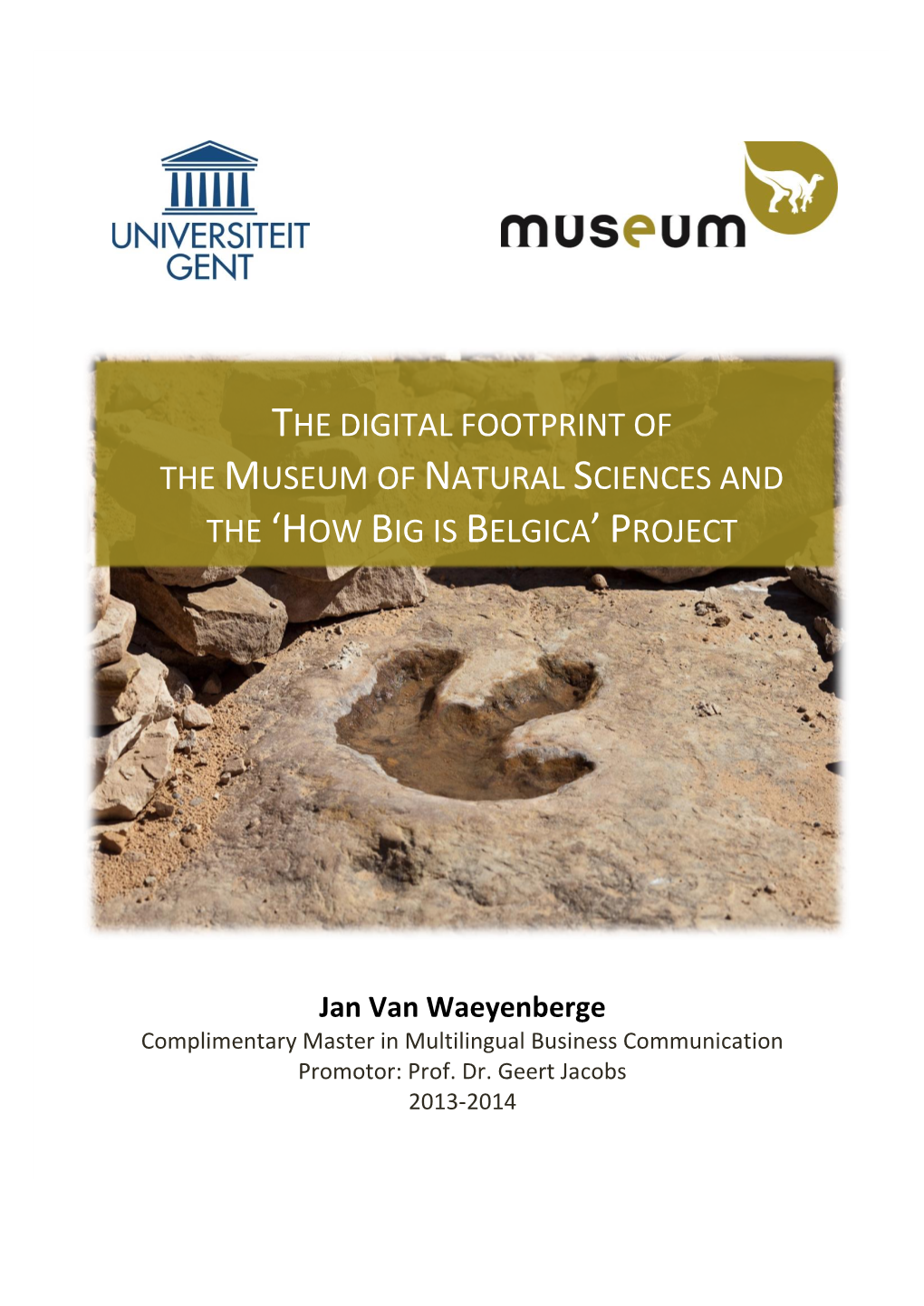The Digital Footprint of the Museum of Natural Sciences and the 'How Big