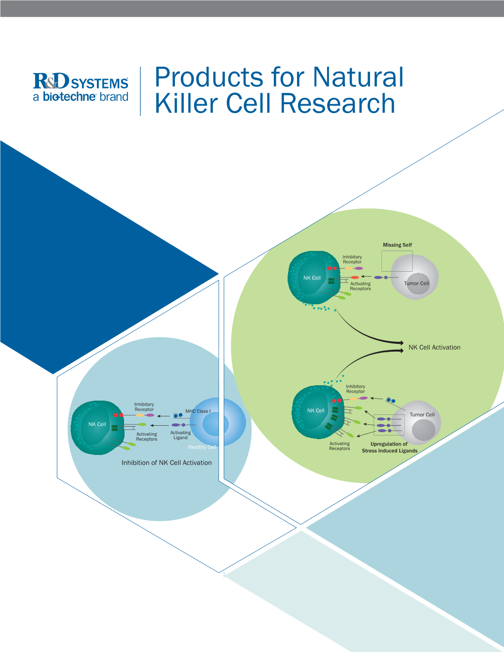 Products for Natural Killer Cell Research