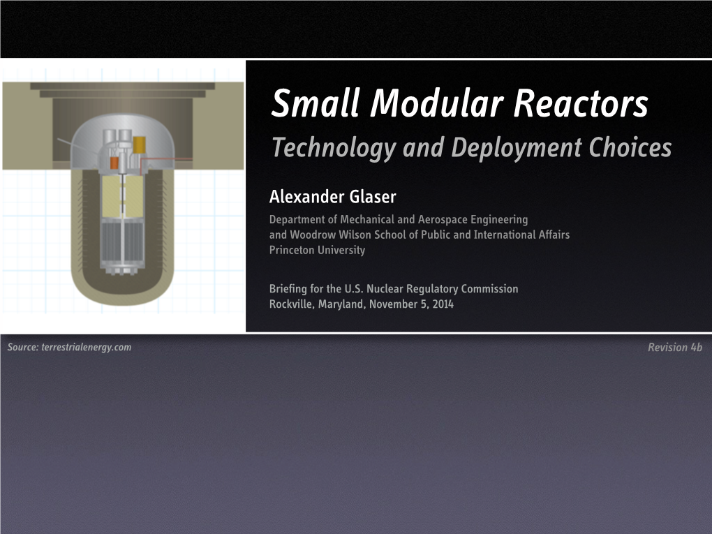 Small Modular Reactors Technology and Deployment Choices