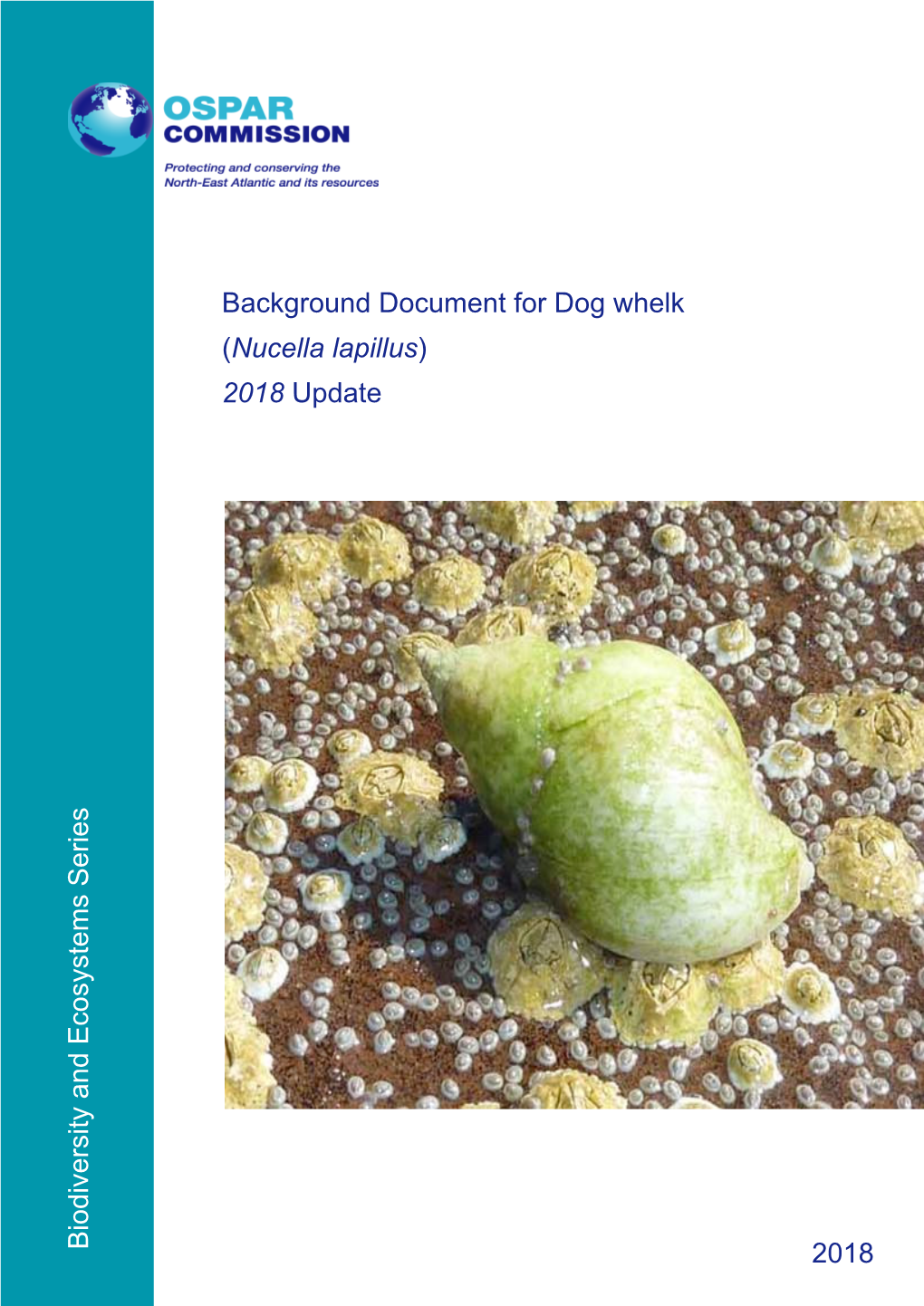 Background Document for Dog Whelk (Nucella Lapillus)