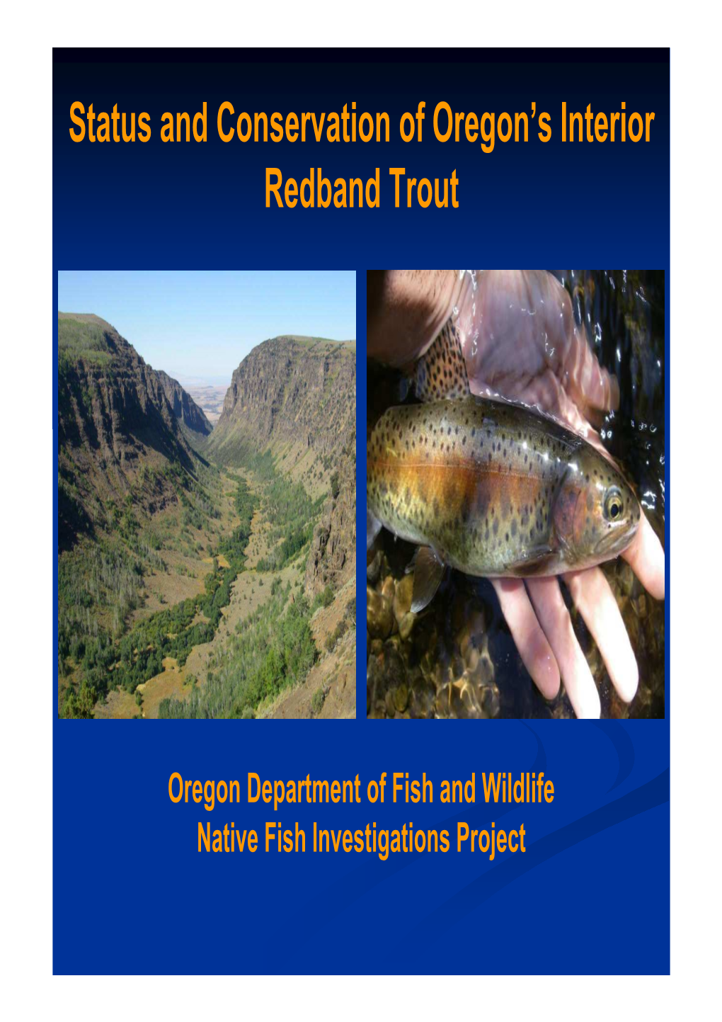 Oregon Redband Trout for Workshop V3.Pps