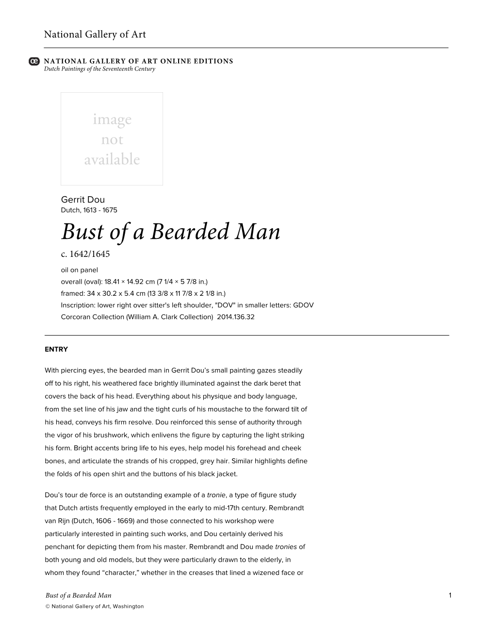 Bust of a Bearded Man C