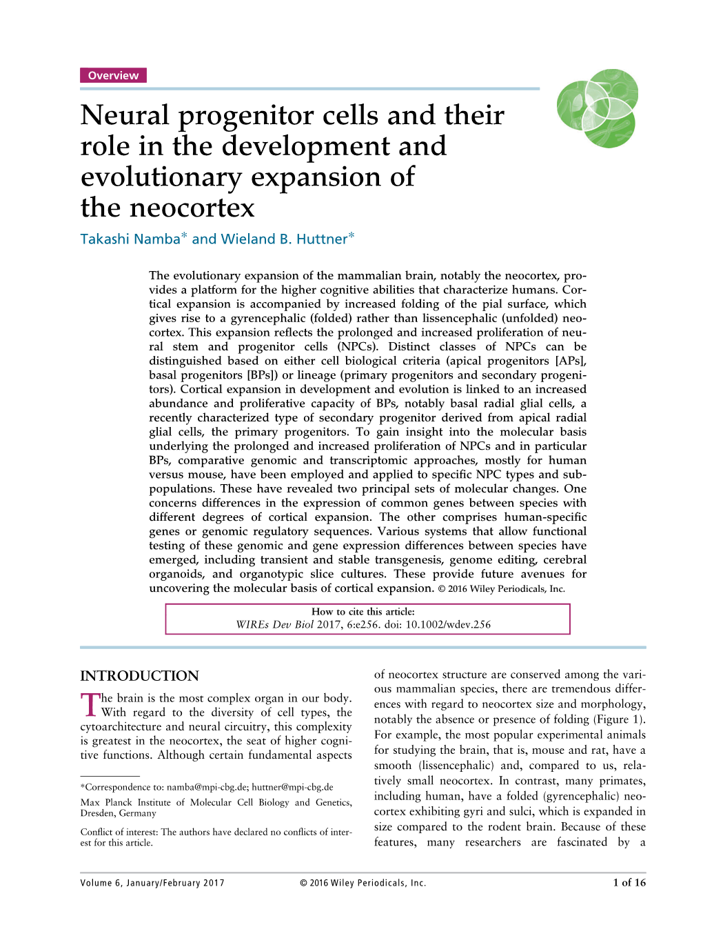 Neural Progenitor Cells and Their Role in the Development and Evolutionary Expansion of the Neocortex Takashi Namba* and Wieland B