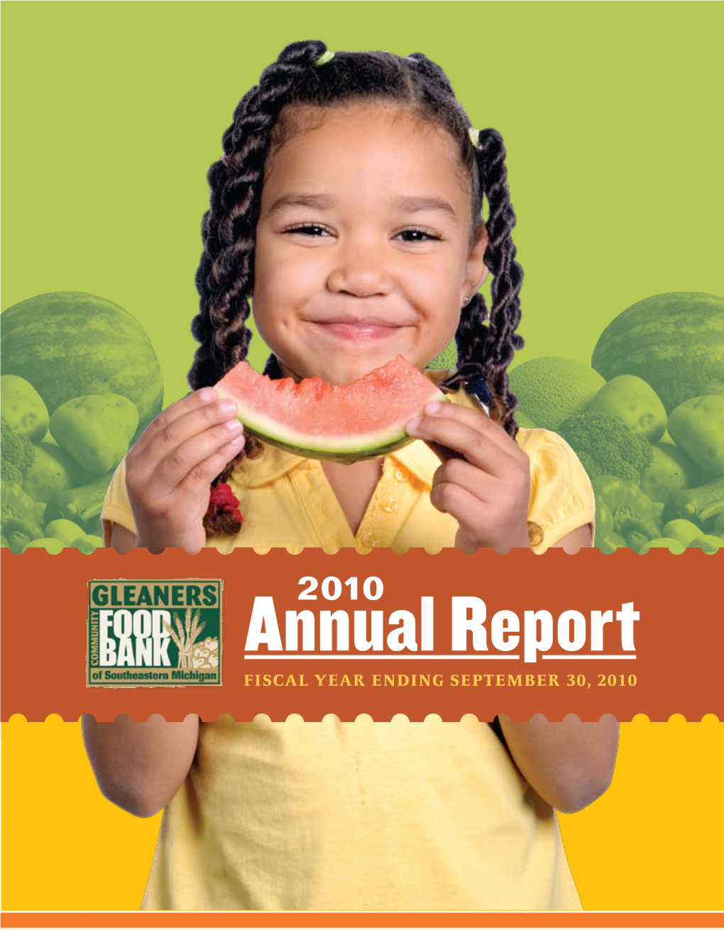 Pdf Annual Report 2010