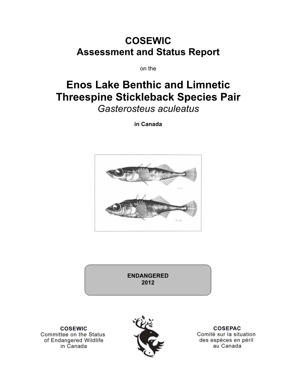 Enos Lake Benthic and Limnetic Threespine Stickleback Species Pair Gasterosteus Aculeatus