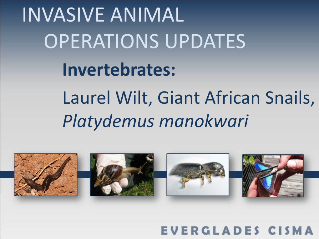 Overview of Everglades Invasive Species