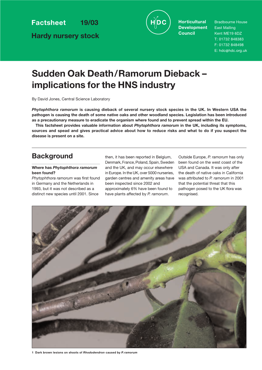 Sudden Oak Death/Ramorum Dieback – Implications for the HNS Industry