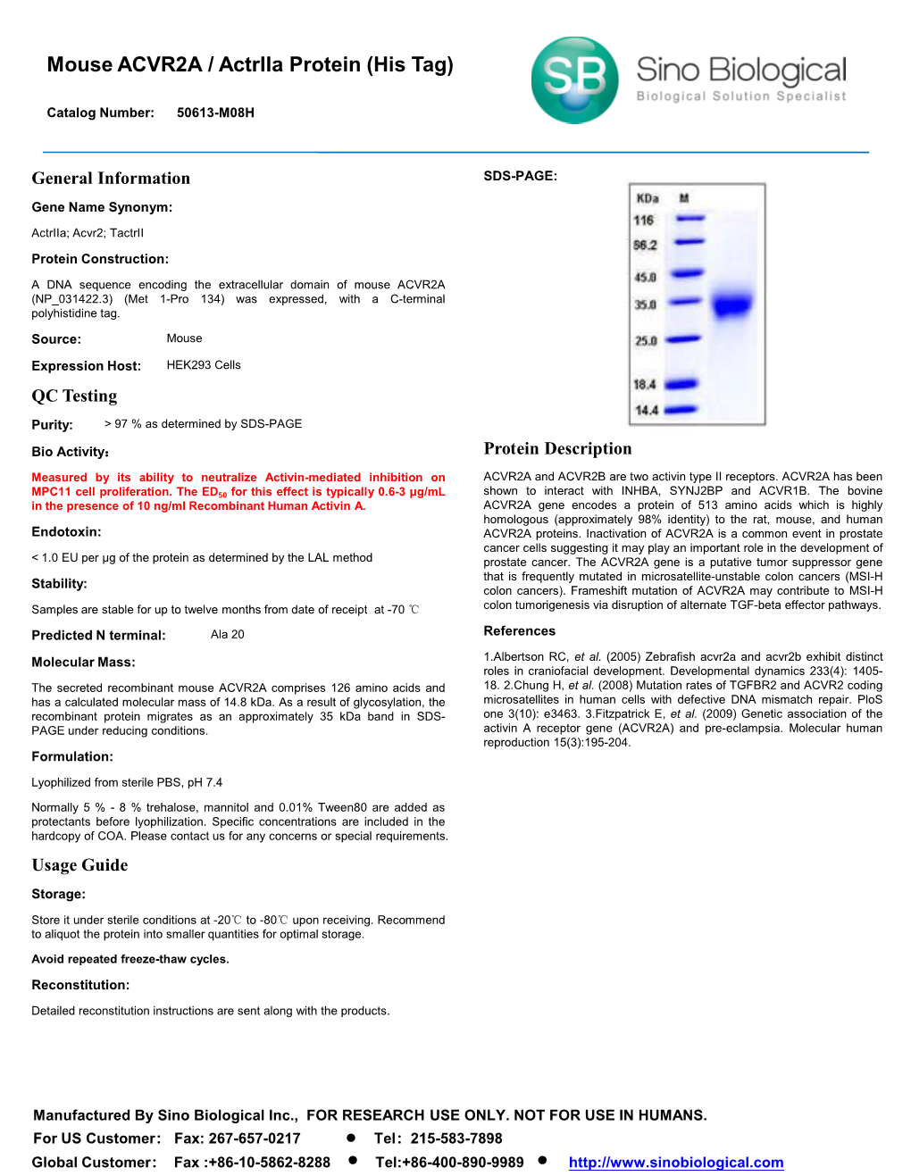 Mouse ACVR2A / Actriia Protein (His Tag)