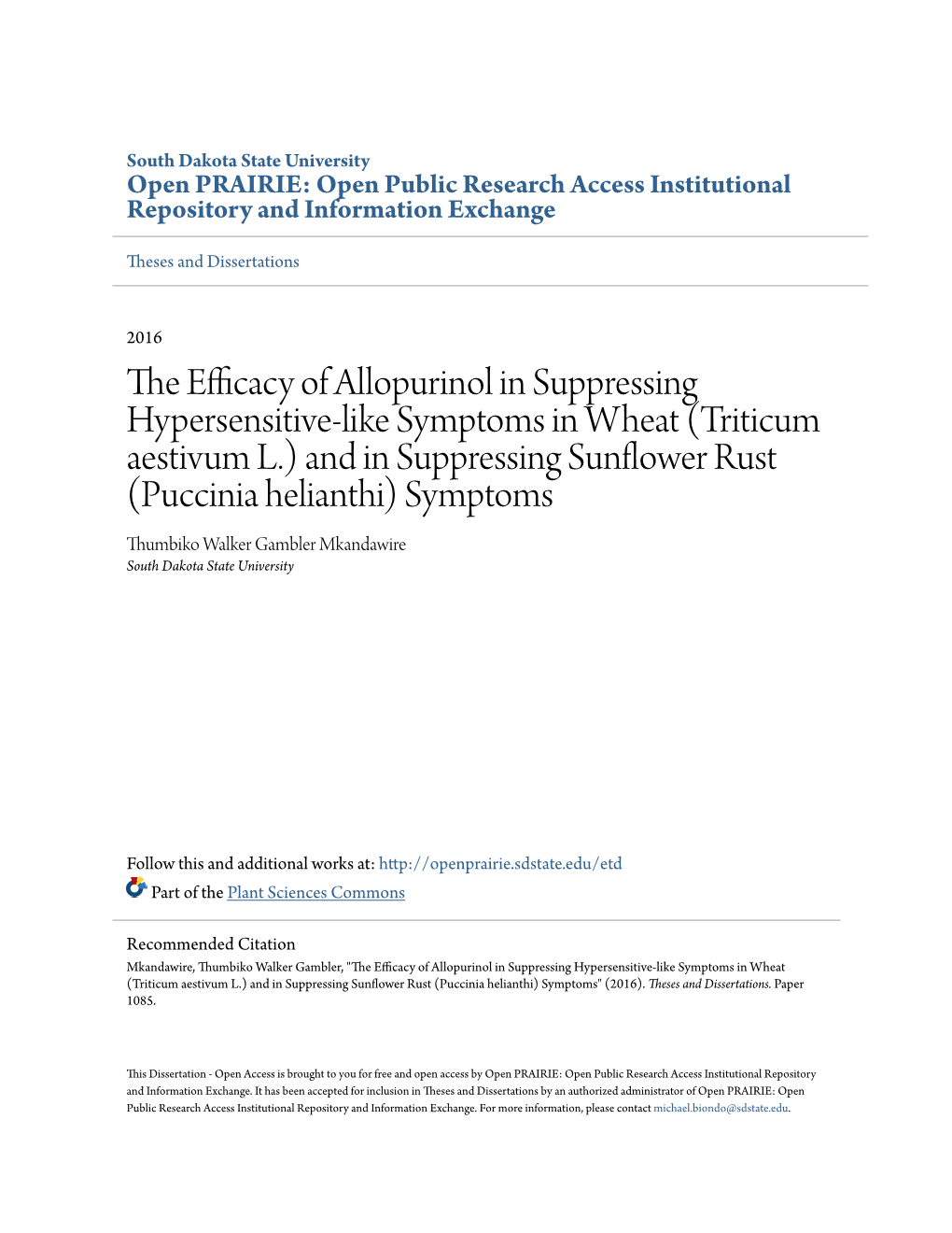 (Triticum Aestivum L.) and in Suppressing Sunflower Rust (Puccinia Helianthi) Symptoms Thumbiko Walker Gambler Mkandawire South Dakota State University