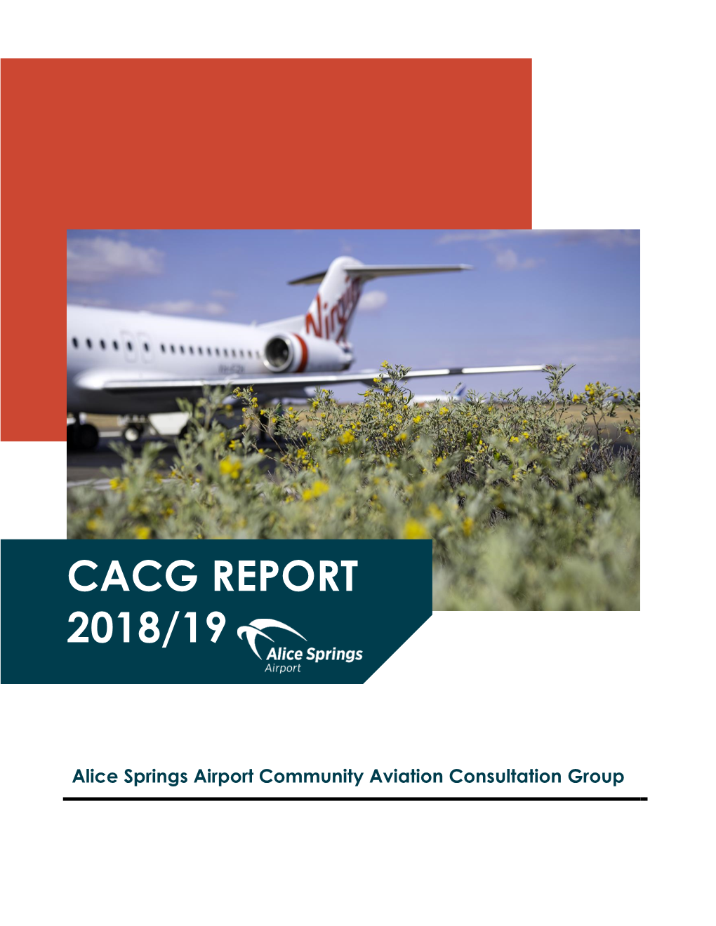 Cacg Report 2018/19