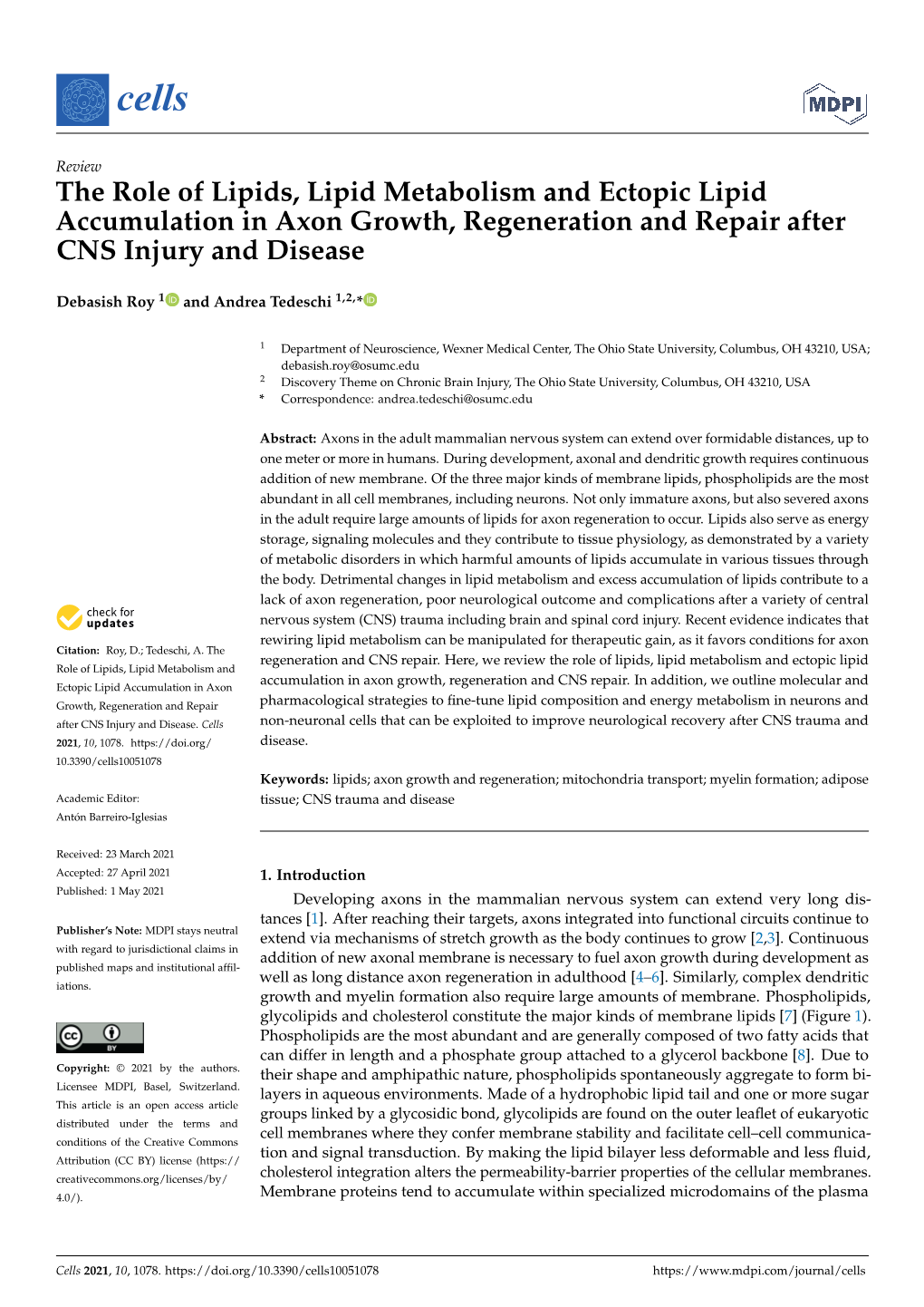 The Role of Lipids, Lipid Metabolism and Ectopic Lipid Accumulation in Axon Growth, Regeneration and Repair After CNS Injury and Disease