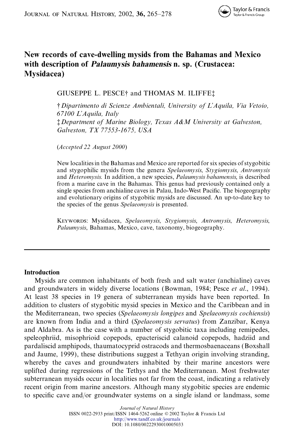 New Records of Cave-Dwelling Mysids from the Bahamas and Mexico With