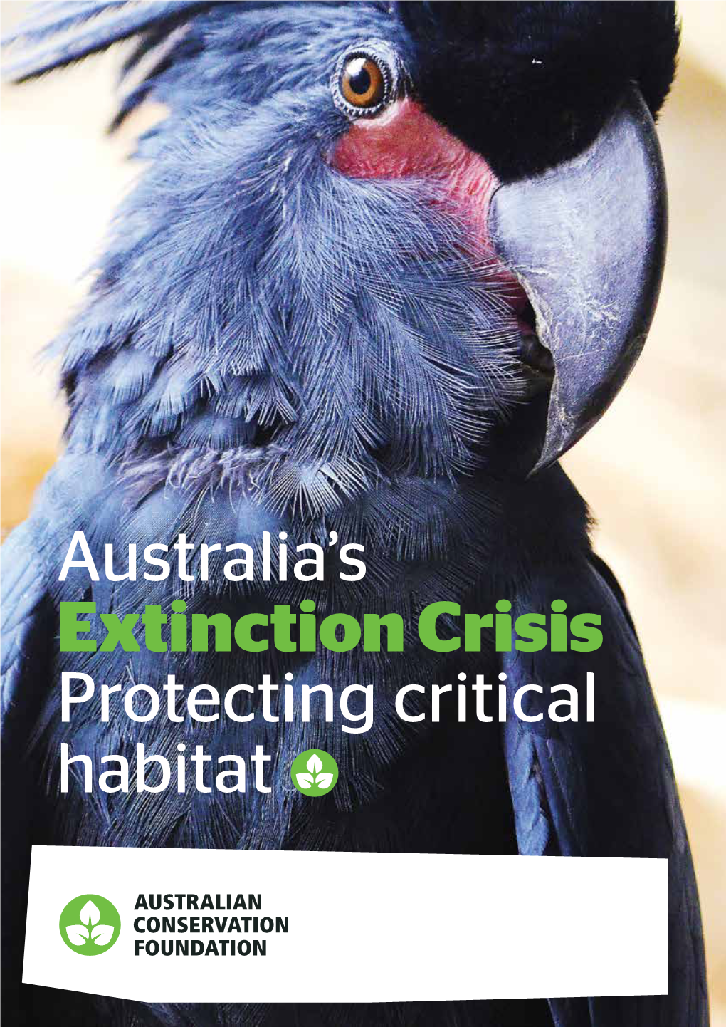 Australia's Extinction Crisis Protecting Critical Habitat