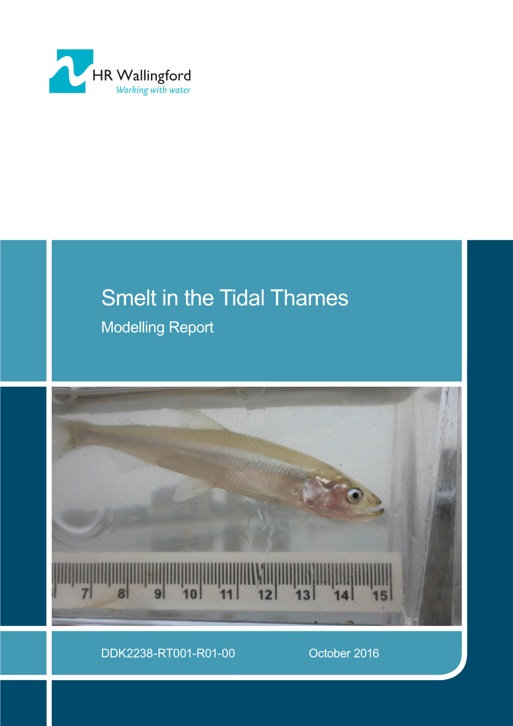 Smelt in the Tidal Thames: Modelling Report