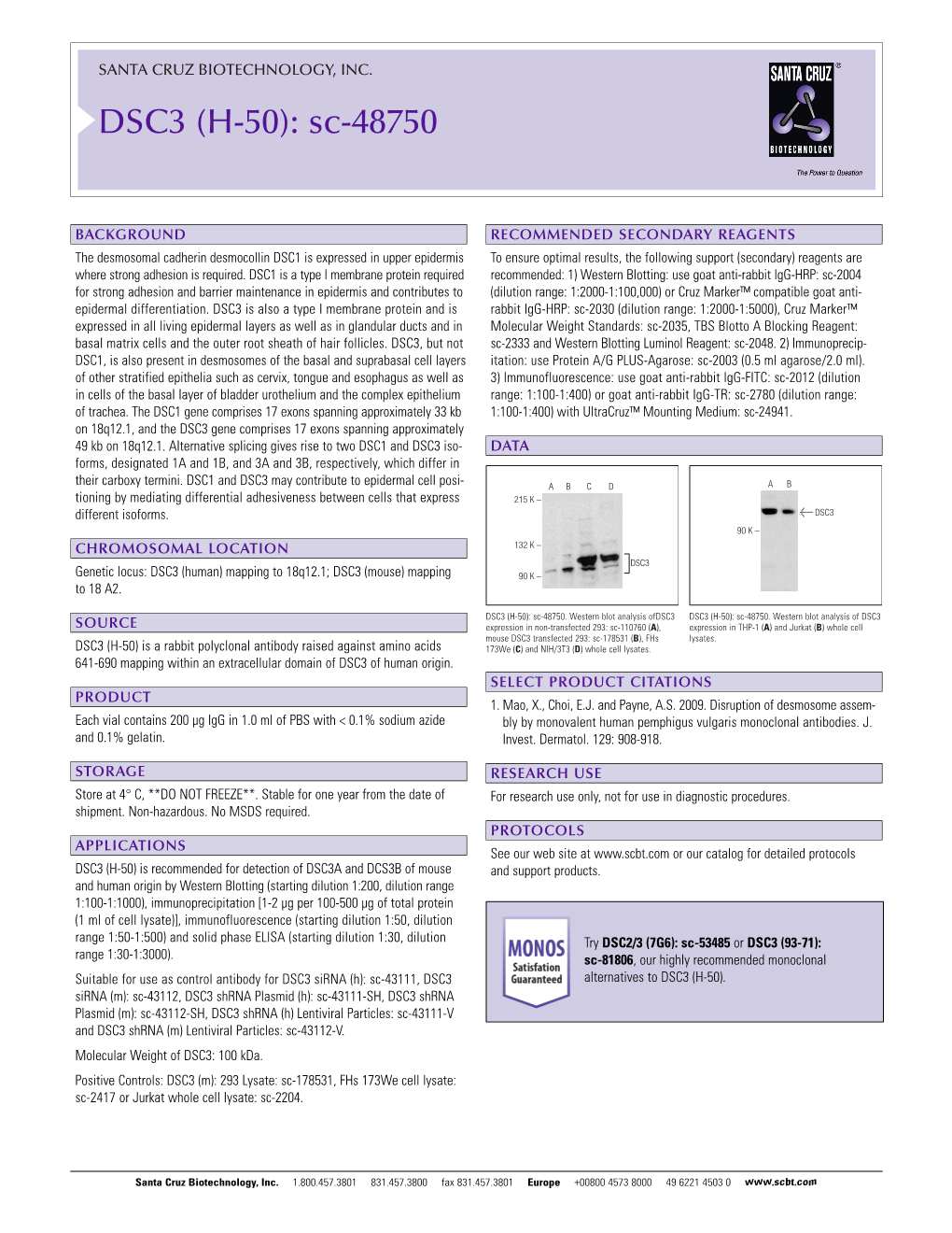 Datasheet Blank Template