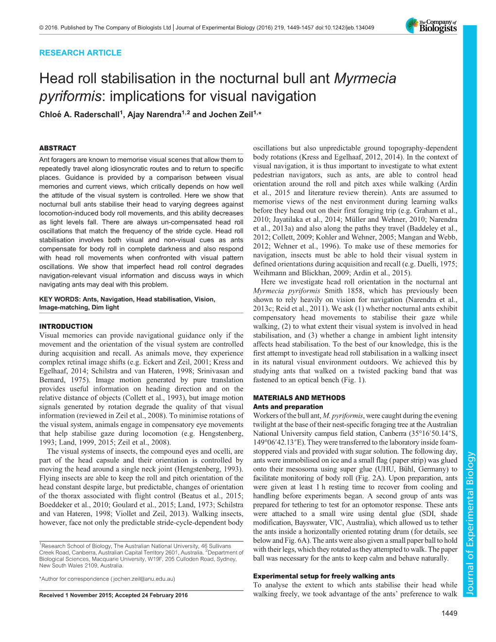 Head Roll Stabilisation in the Nocturnal Bull Ant Myrmecia Pyriformis: Implications for Visual Navigation Chloéa