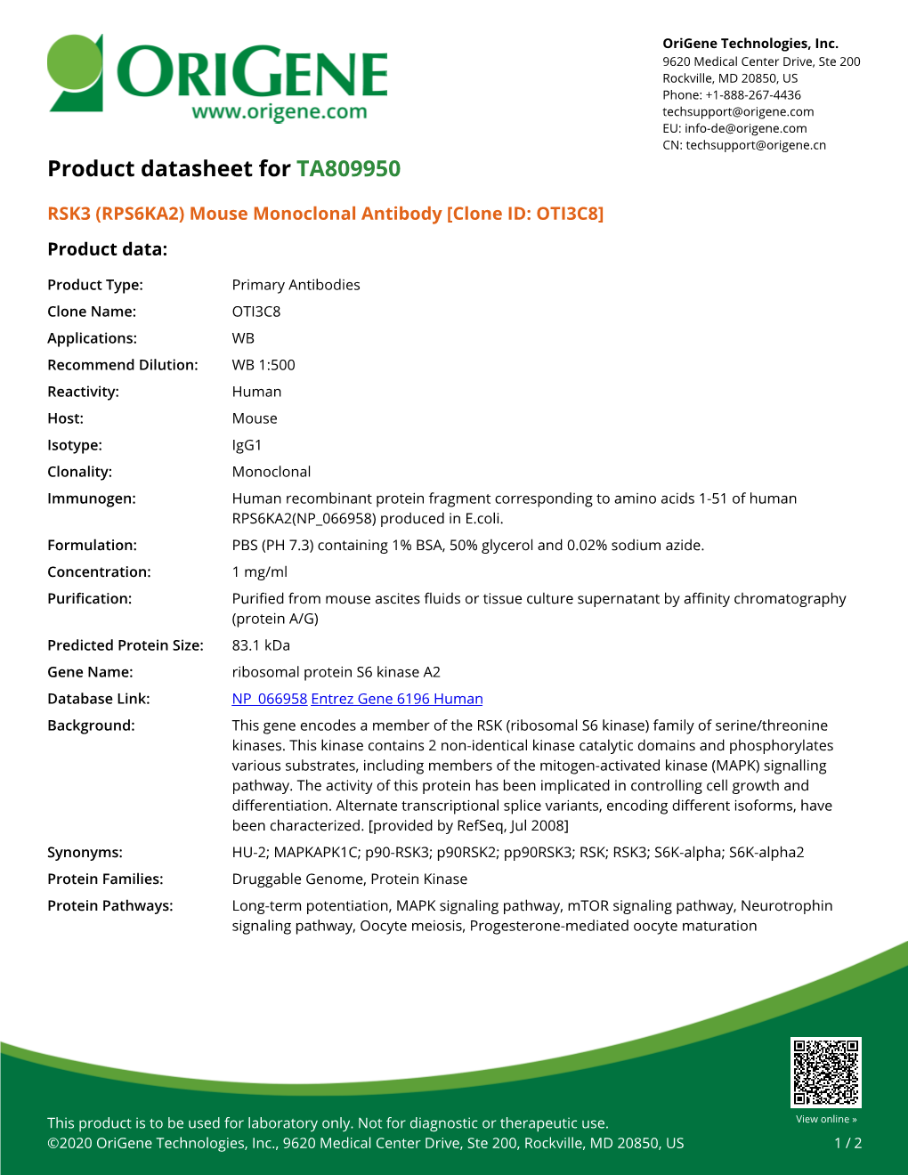 RSK3 (RPS6KA2) Mouse Monoclonal Antibody [Clone ID: OTI3C8] Product Data