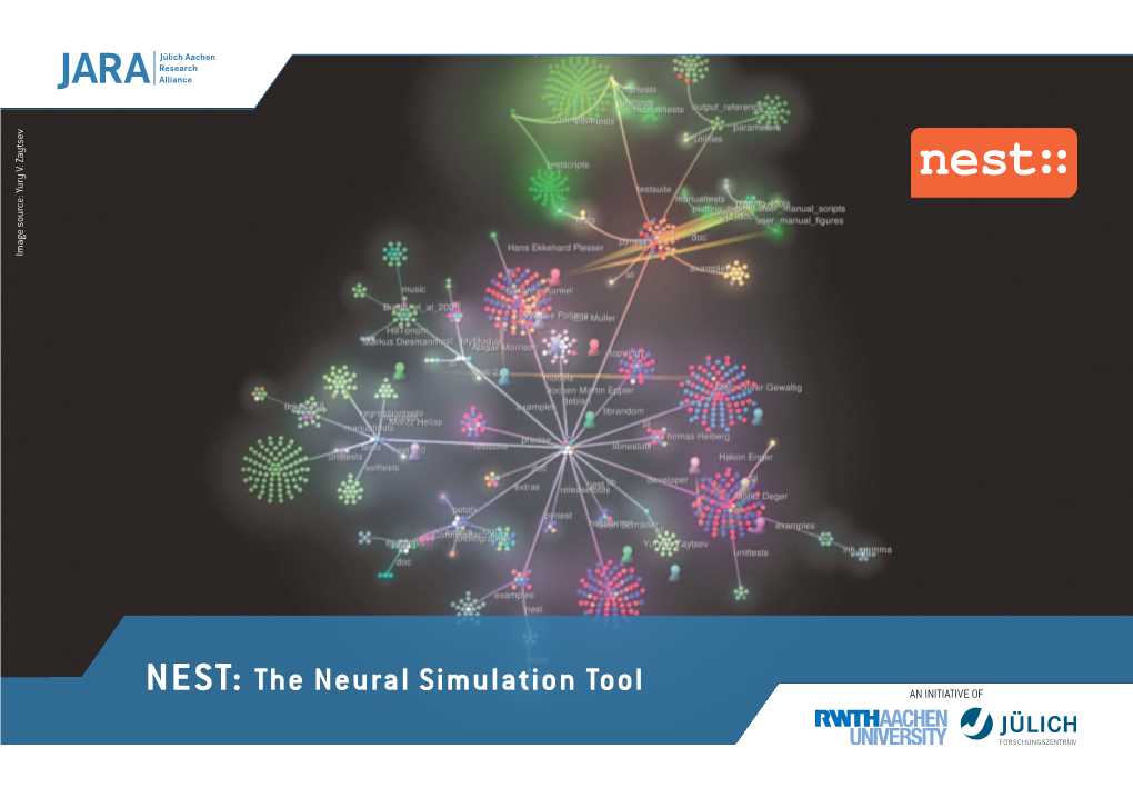 NEST: the Neural Simulation Tool PARTNERS