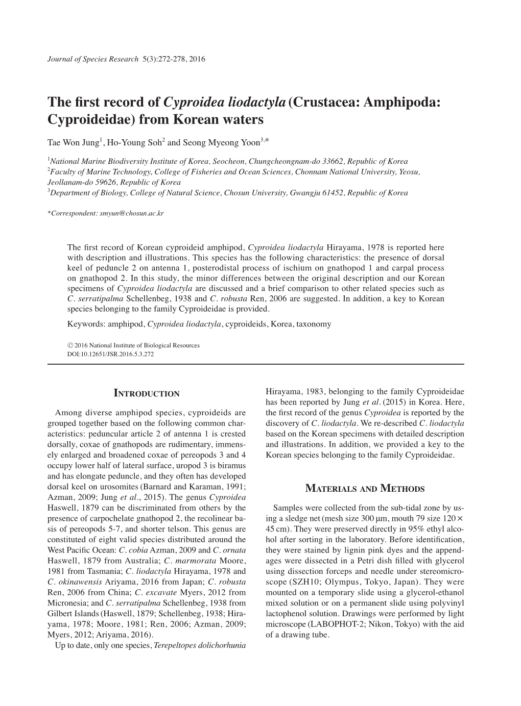 (Crustacea: Amphipoda: Cyproideidae) from Korean Waters