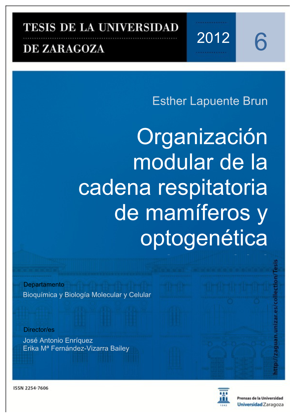 Organización Modular De La Cadena Respiratoria De Mamíferos Y Optogenética Mitocondrial