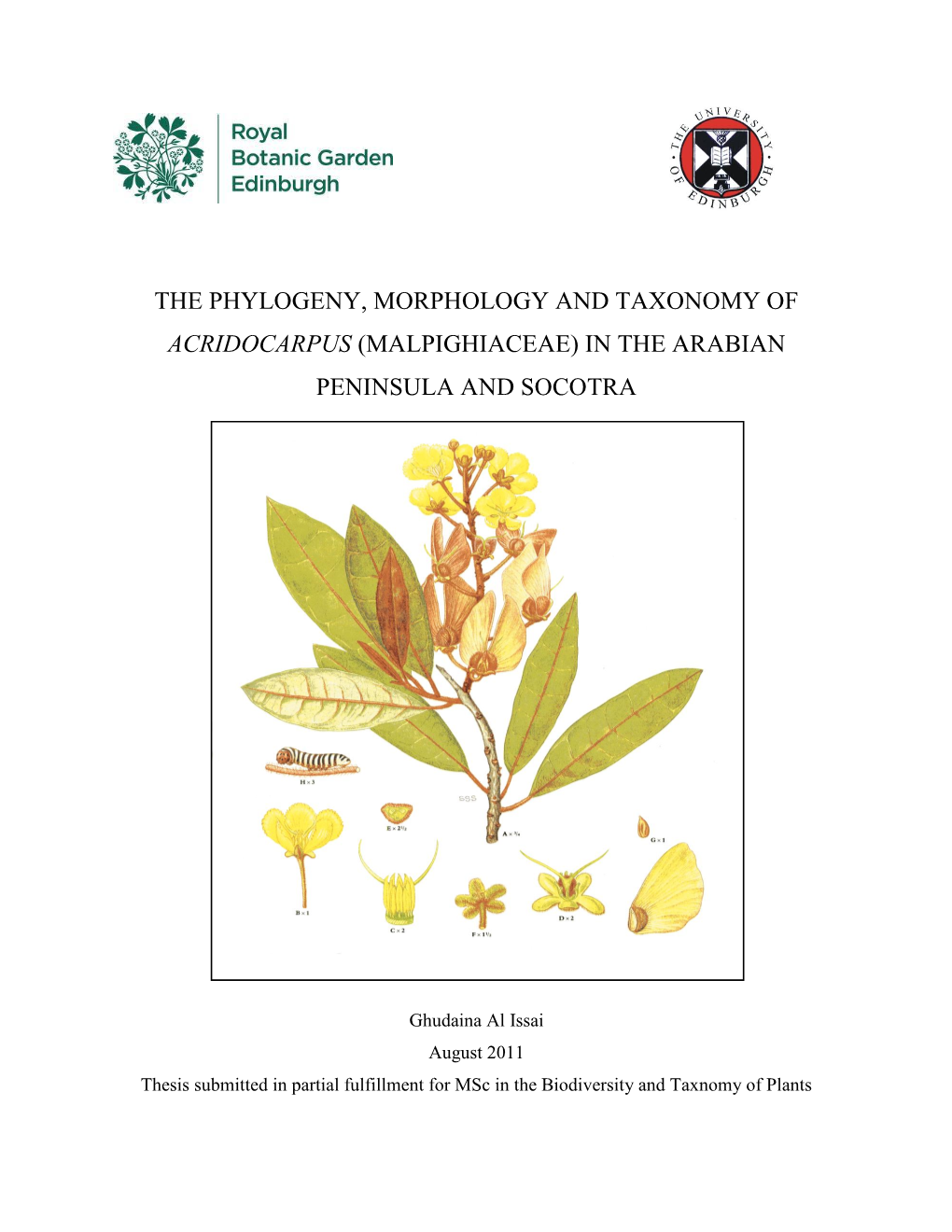 The Phylogeny, Morphology and Taxonomy of Acridocarpus (Malpighiaceae) in the Arabian Peninsula and Socotra