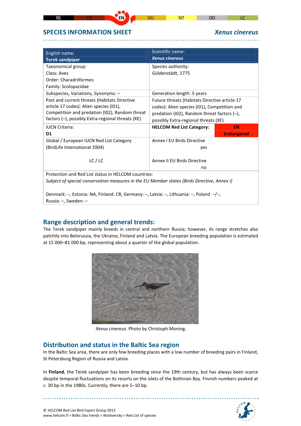 SPECIES INFORMATION SHEET Xenus Cinereus