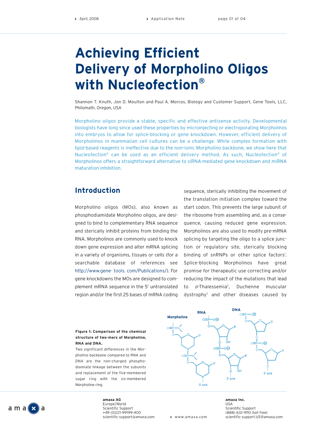 Achieving Efficient Delivery of Morpholino Oligos with Nucleofection®