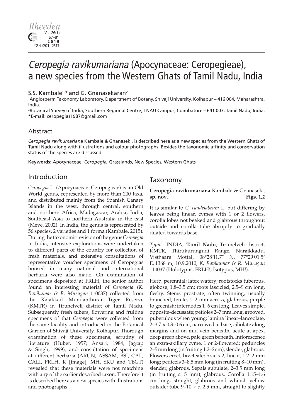 Ceropegia Ravikumariana (Apocynaceae: Ceropegieae), a New Species from the Western Ghats of Tamil Nadu, India