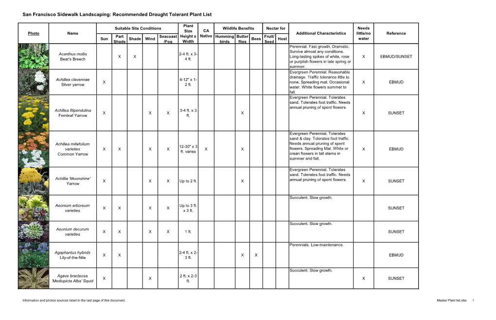 Recommended Drought Tolerant Plant List