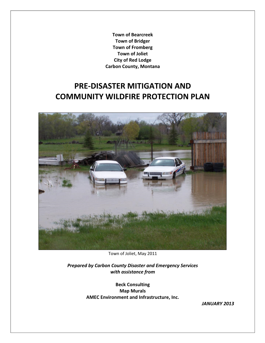 Pre-Disaster Mitigation and Community Wildfire Protection Plan