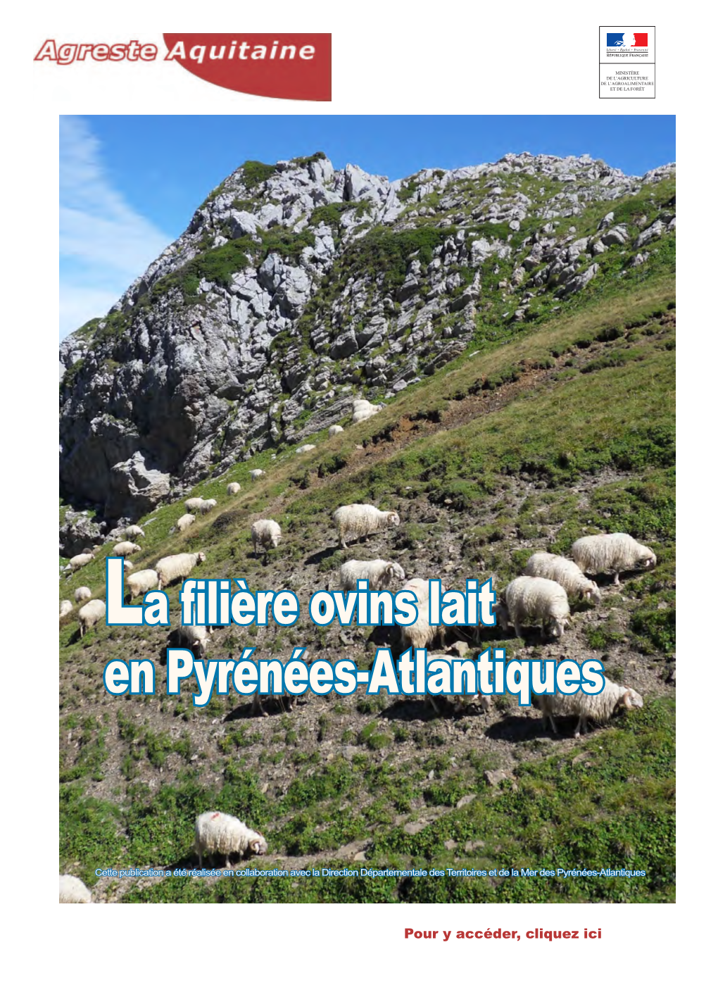 La Filière Ovins Lait En Pyrénées-Atlantiques