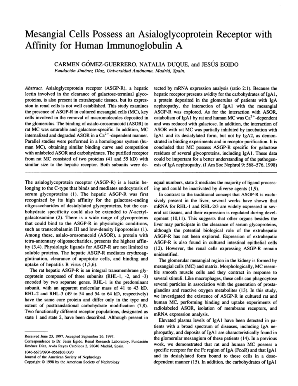 Mesangial Cells Possess an Asialoglycoprotein Receptor with Affinity for Human Immunoglobulin A