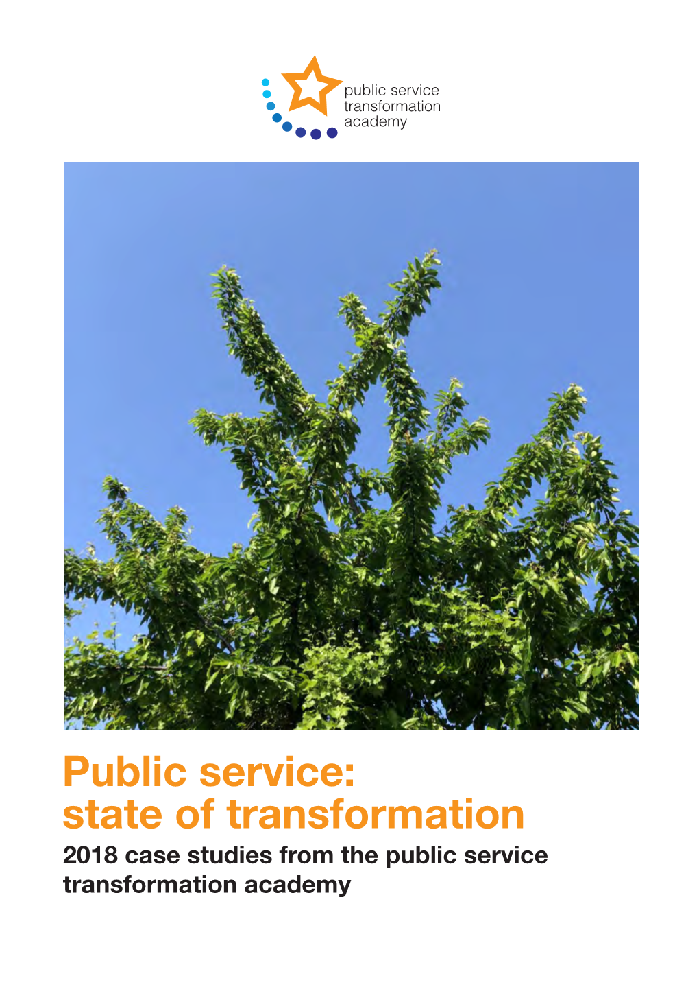 Case Studies from the Public Service Transformation Academy Public Service: State of Transformation 2018 Case Studies from the Public Service Transformation Academy