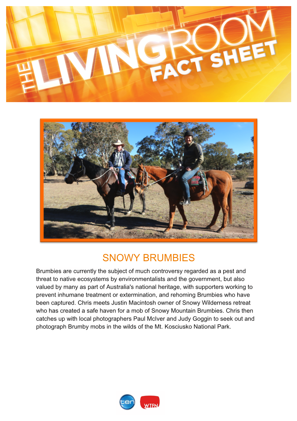 Snowy Brumbies