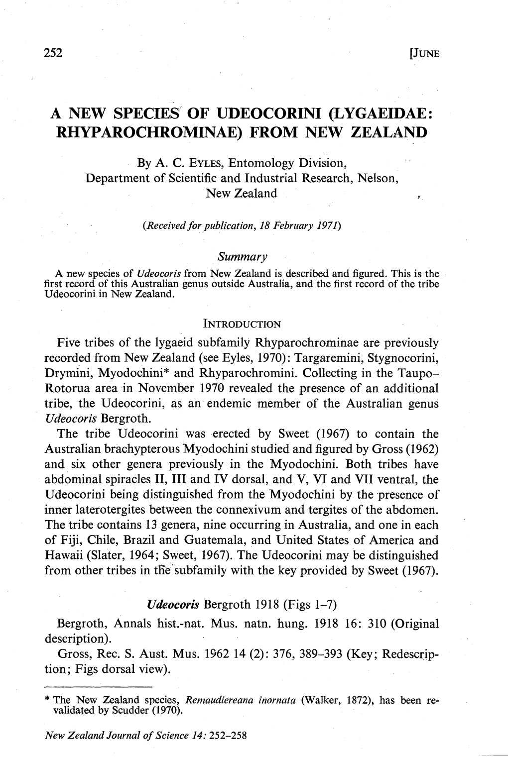 Anew Species of Udeocorini (Lygaeidae: Rhyparochrominae) from New Zealand