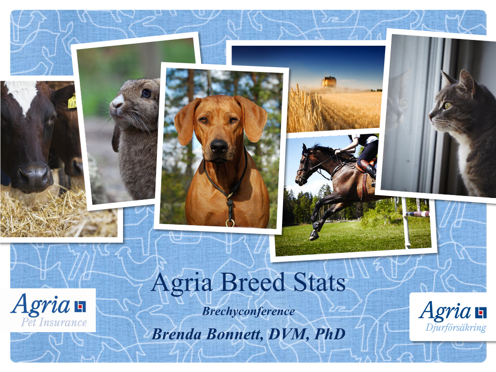 Agria Breed Stats Brechyconference Brenda Bonnett, DVM, Phd Hot Topics on Dogwellnet.Com Brachycephalics